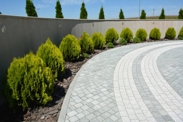 Best Interlocking Driveway Pavers  in New Madrid, MO